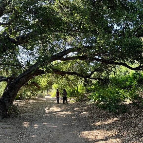 Meet your Posher, Natasha - Picture 4 of 9